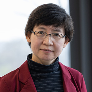 Jie Gao
