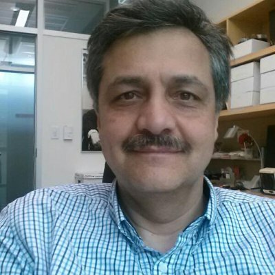 Farid Alizadeh