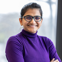 Assistant Professor Sumegha Garg receives the National Science Foundation (NSF) Career Award