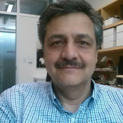 Alizadeh, Farid